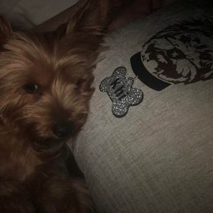 Meet your Posher, Steeven